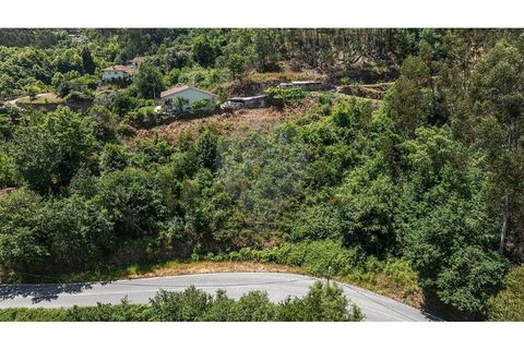 Villa i Celorico de Basto, Braga, Celorico de Basto - € 99.000 | Ref: 126221008-78 - foto 27