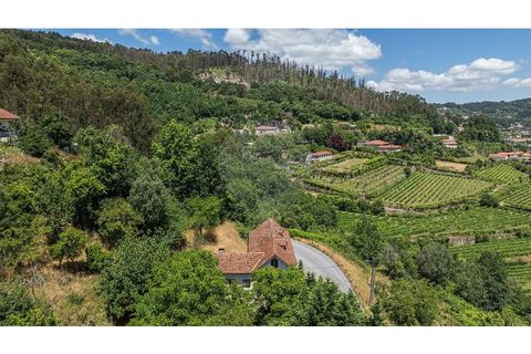 Villa i Celorico de Basto, Braga, Celorico de Basto - € 99.000 | Ref: 126221008-78 - foto 30