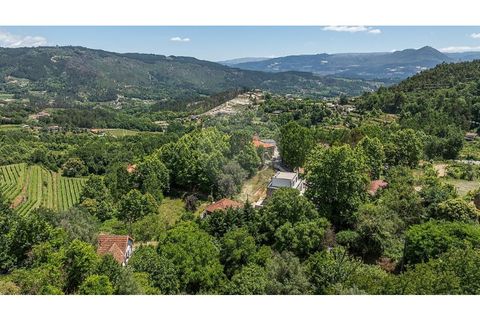 Villa i Celorico de Basto, Braga, Celorico de Basto - € 99.000 | Ref: 126221008-78 - foto 31