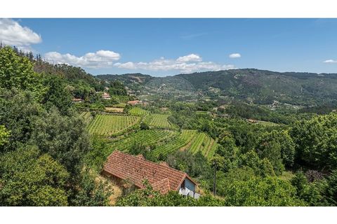 Villa i Celorico de Basto, Braga, Celorico de Basto - € 99.000 | Ref: 126221008-78 - foto 32