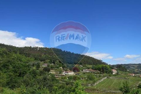 Villa i Celorico de Basto, Braga, Celorico de Basto - € 99.000 | Ref: 126221008-78 - foto 33