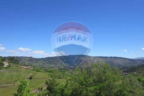 Villa i Celorico de Basto, Braga, Celorico de Basto - € 99.000 | Ref: 126221008-78 - foto 34