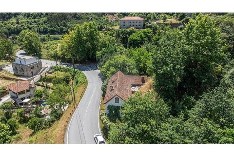 Villa i Celorico de Basto, Braga, Celorico de Basto - € 99.000 | Ref: 126221008-78 - foto 37