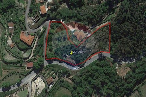 Villa i Celorico de Basto, Braga, Celorico de Basto - € 99.000 | Ref: 126221008-78 - foto 39
