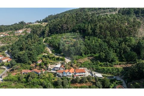 Villa em Fervenca, Braga, Fervenca - € 79.000 | Ref: 126221008-473 - foto 3