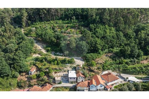 Villa em Fervenca, Braga, Fervenca - € 79.000 | Ref: 126221008-473 - foto 5
