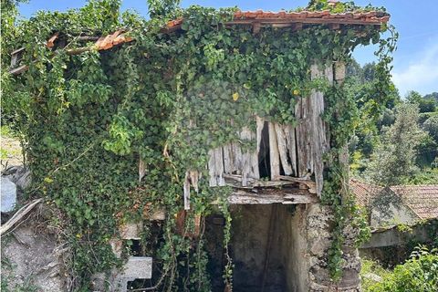 Villa em Fervenca, Braga, Fervenca - € 79.000 | Ref: 126221008-473 - foto 23