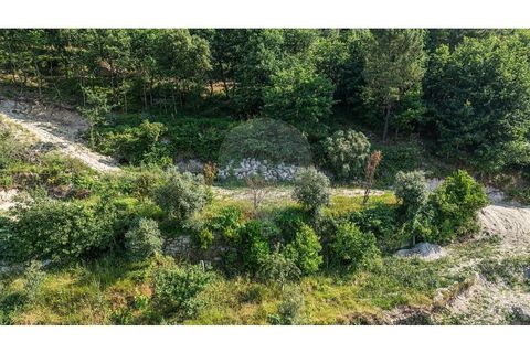 Villa em Fervenca, Braga, Fervenca - € 79.000 | Ref: 126221008-473 - foto 25