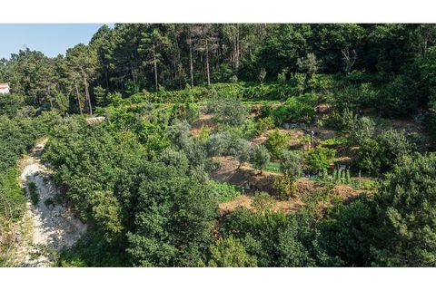 Villa em Fervenca, Braga, Fervenca - € 79.000 | Ref: 126221008-473 - foto 26