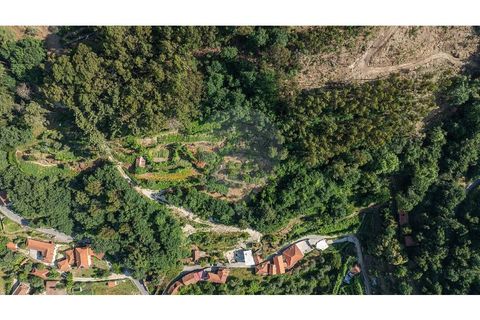 Villa em Fervenca, Braga, Fervenca - € 79.000 | Ref: 126221008-473 - foto 29