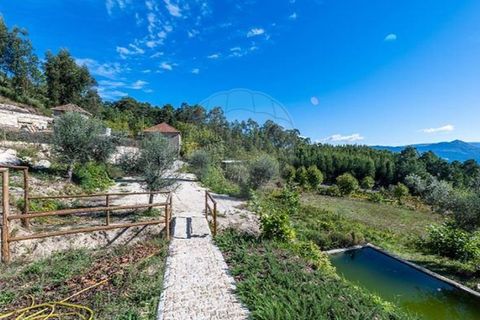Villa i Celorico de Basto, Braga, Celorico de Basto - € 289.500 | Ref: 126221001-1 - foto 4