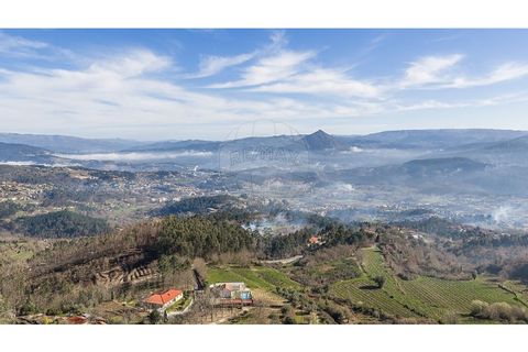 Villa i Celorico de Basto, Braga, Celorico de Basto - € 240.000 | Ref: 126221008-467 - foto 40