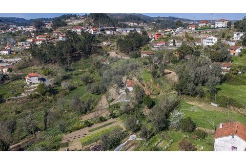 Villa i Celorico de Basto, Braga, Celorico de Basto - € 69.900 | Ref: 126221008-469 - foto 4