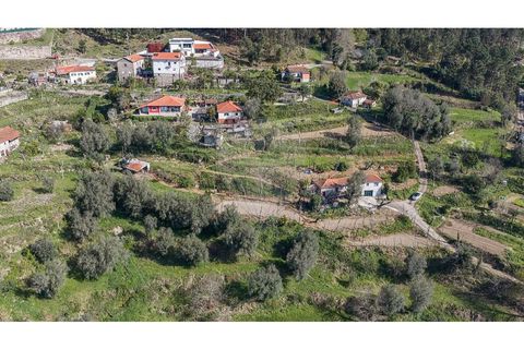 Villa i Celorico de Basto, Braga, Celorico de Basto - € 69.900 | Ref: 126221008-469 - foto 5