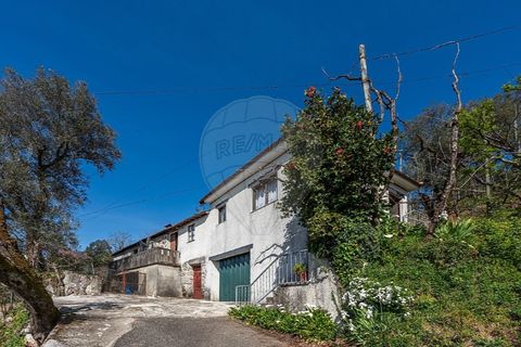Villa i Celorico de Basto, Braga, Celorico de Basto - € 69.900 | Ref: 126221008-469 - foto 6
