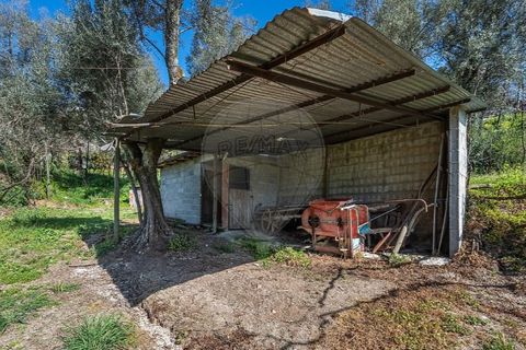 Villa i Celorico de Basto, Braga, Celorico de Basto - € 69.900 | Ref: 126221008-469 - foto 20