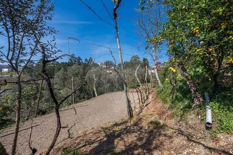 Villa i Celorico de Basto, Braga, Celorico de Basto - € 69.900 | Ref: 126221008-469 - foto 21
