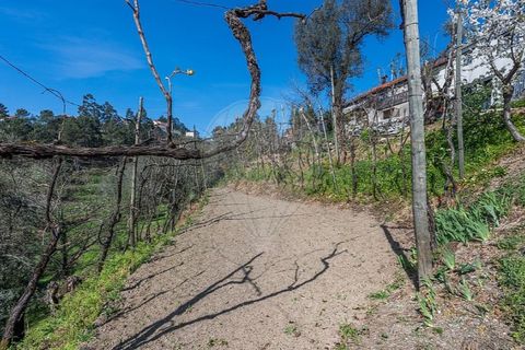 Villa i Celorico de Basto, Braga, Celorico de Basto - € 69.900 | Ref: 126221008-469 - foto 22