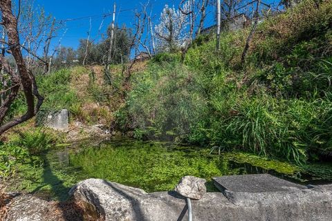 Villa i Celorico de Basto, Braga, Celorico de Basto - € 69.900 | Ref: 126221008-469 - foto 24