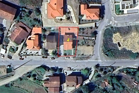 Villa i Celorico de Basto, Braga, Celorico de Basto - € 600.000 | Ref: 126221008-472 - foto 44