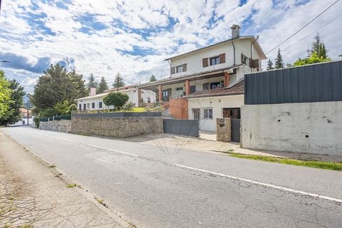 Villa i Cabeceiras de Basto, Braga, Cabeceiras de Basto - € 349.900 | Ref: 126311008-163 - foto 4