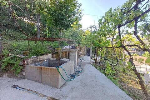 Villa i Cabeceiras de Basto, Braga, Cabeceiras de Basto - € 123.000 | Ref: 126311008-164 - foto 15