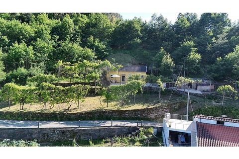 Villa i Cabeceiras de Basto, Braga, Cabeceiras de Basto - € 123.000 | Ref: 126311008-164 - foto 17