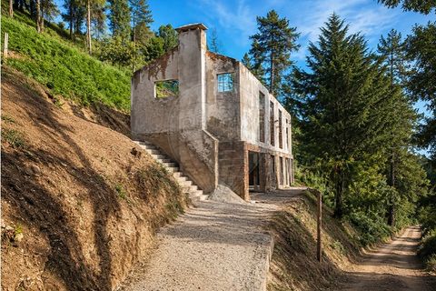 Villa i Montalegre, Vila Real, Montalegre - € 99.500 | Ref: 126311008-165 - foto 3