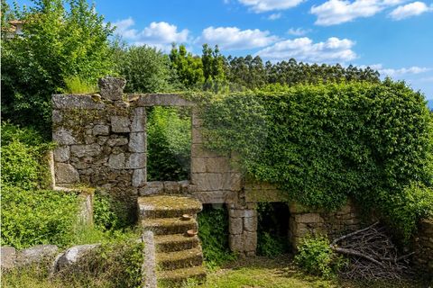 Villa i Celorico de Basto, Braga, Celorico de Basto - € 237.000 | Ref: 126311008-170 - foto 9