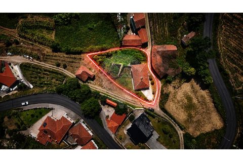 Villa i Celorico de Basto, Braga, Celorico de Basto - € 237.000 | Ref: 126311008-170 - foto 11