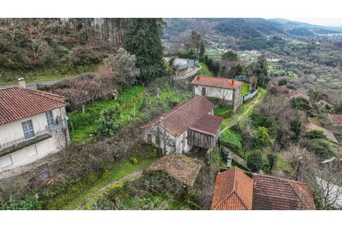 Villa i Celorico de Basto, Braga, Celorico de Basto - € 57.900 | Ref: 126971008-7 - foto 3