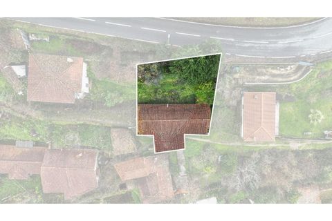 Villa i Celorico de Basto, Braga, Celorico de Basto - € 57.900 | Ref: 126971008-7 - foto 7