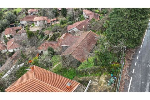 Villa i Celorico de Basto, Braga, Celorico de Basto - € 57.900 | Ref: 126971008-7 - foto 10