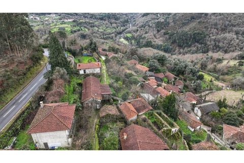 Villa i Celorico de Basto, Braga, Celorico de Basto - € 57.900 | Ref: 126971008-7 - foto 13