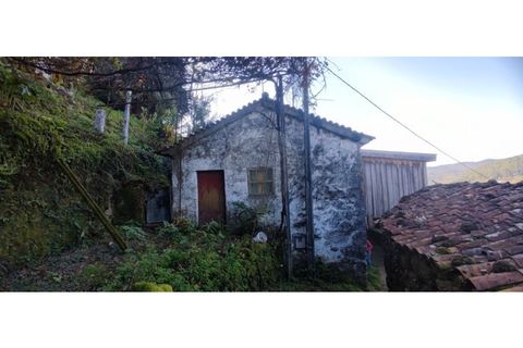 Villa i Celorico de Basto, Braga, Celorico de Basto - € 57.900 | Ref: 126971008-7 - foto 14