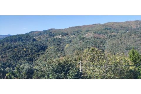 Villa i Celorico de Basto, Braga, Celorico de Basto - € 57.900 | Ref: 126971008-7 - foto 27