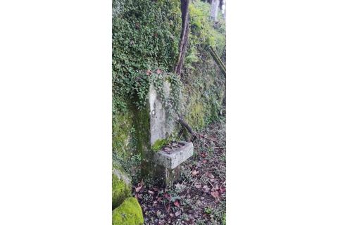 Villa i Celorico de Basto, Braga, Celorico de Basto - € 57.900 | Ref: 126971008-7 - foto 29