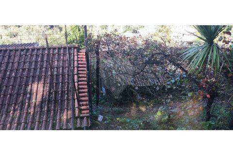 Villa i Celorico de Basto, Braga, Celorico de Basto - € 57.900 | Ref: 126971008-7 - foto 31