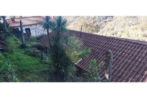 Villa i Celorico de Basto, Braga, Celorico de Basto - € 57.900 | Ref: 126971008-7 - foto 32