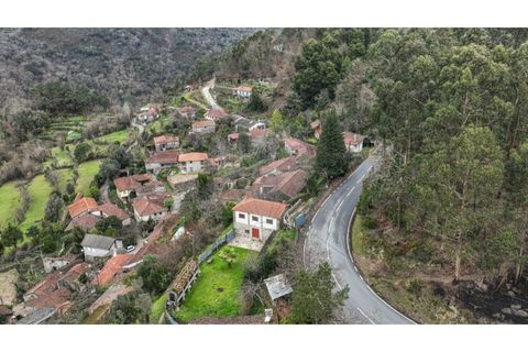 Villa i Celorico de Basto, Braga, Celorico de Basto - € 57.900 | Ref: 126971008-7 - foto 34
