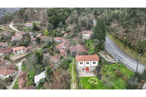 Villa i Celorico de Basto, Braga, Celorico de Basto - € 57.900 | Ref: 126971008-7 - foto 35