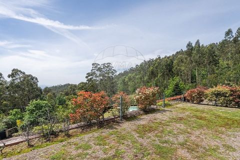 Villa i Celorico de Basto, Braga, Celorico de Basto - € 489.000 | Ref: 126201038-35 - foto 36