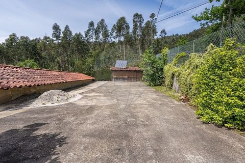 Villa i Celorico de Basto, Braga, Celorico de Basto - € 489.000 | Ref: 126201038-35 - foto 37