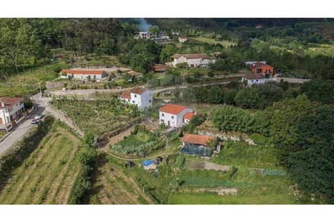 Villa i Celorico de Basto, Braga, Celorico de Basto - € 169.500 | Ref: 126221008-461 - foto 2