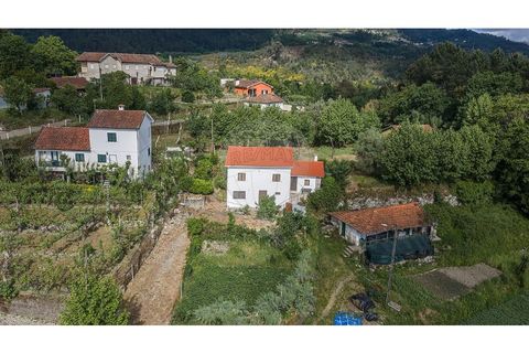 Villa i Celorico de Basto, Braga, Celorico de Basto - € 169.500 | Ref: 126221008-461 - foto 3
