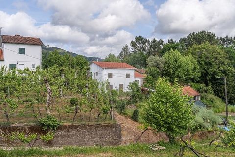 Villa i Celorico de Basto, Braga, Celorico de Basto - € 169.500 | Ref: 126221008-461 - foto 4