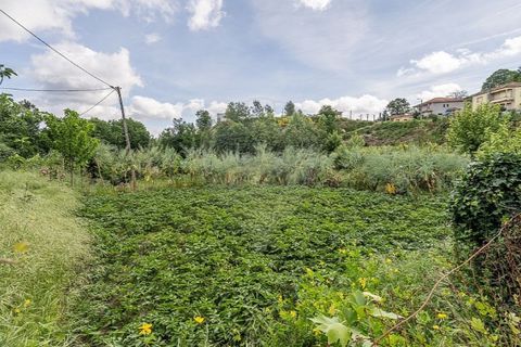 Villa i Celorico de Basto, Braga, Celorico de Basto - € 169.500 | Ref: 126221008-461 - foto 21