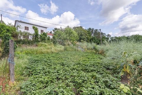 Villa i Celorico de Basto, Braga, Celorico de Basto - € 169.500 | Ref: 126221008-461 - foto 22