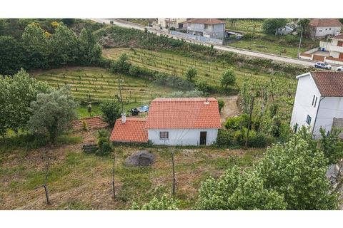 Villa i Celorico de Basto, Braga, Celorico de Basto - € 169.500 | Ref: 126221008-461 - foto 23