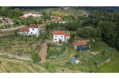 Villa i Celorico de Basto, Braga, Celorico de Basto - € 169.500 | Ref: 126221008-461 - foto 26